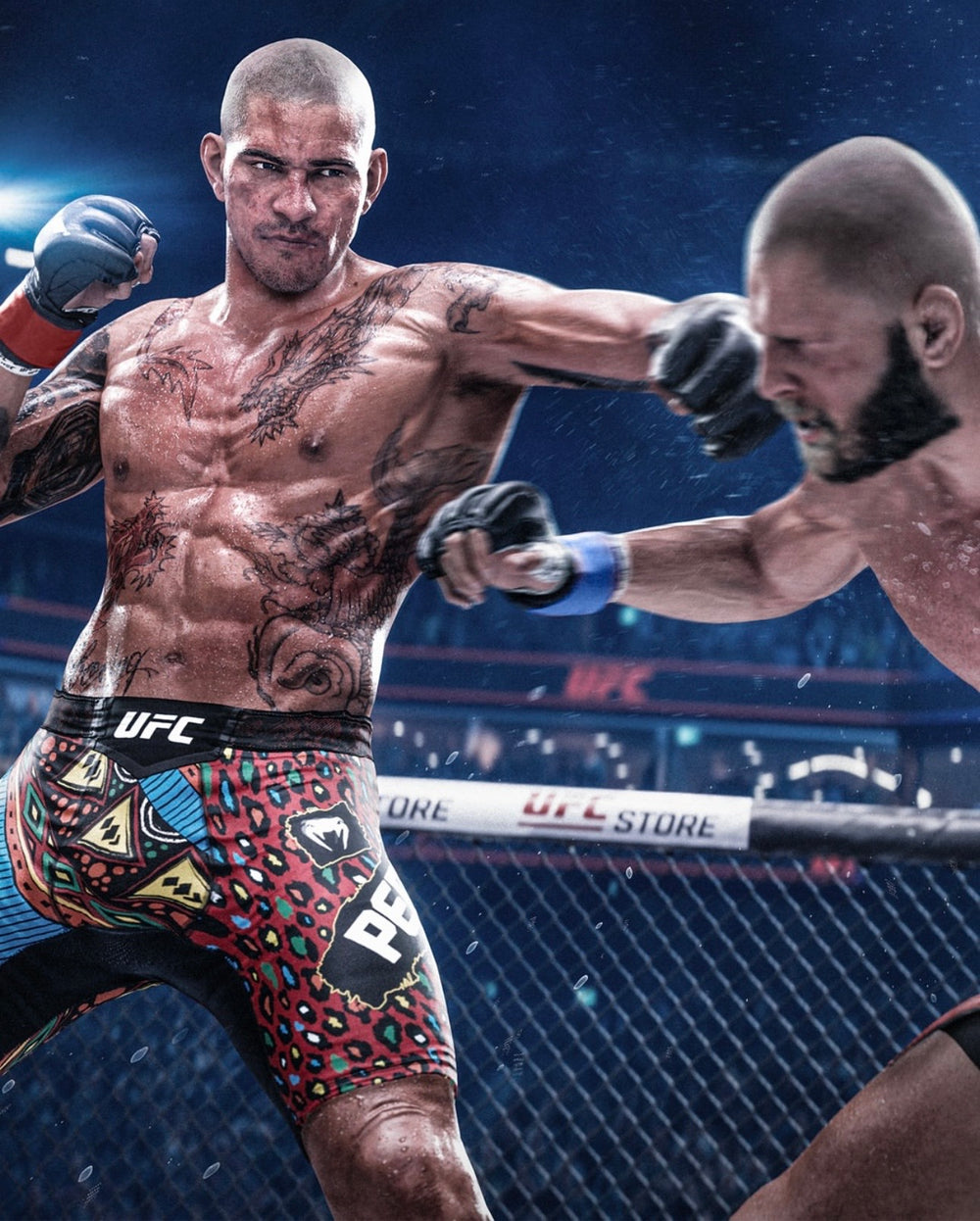 UFC 6 — visual 4