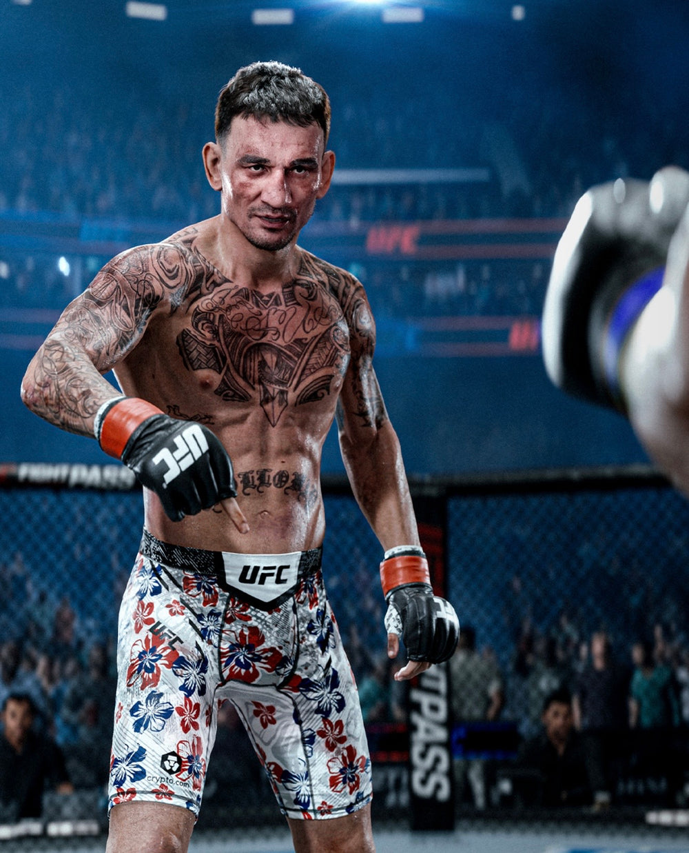 UFC 6 — visual 1