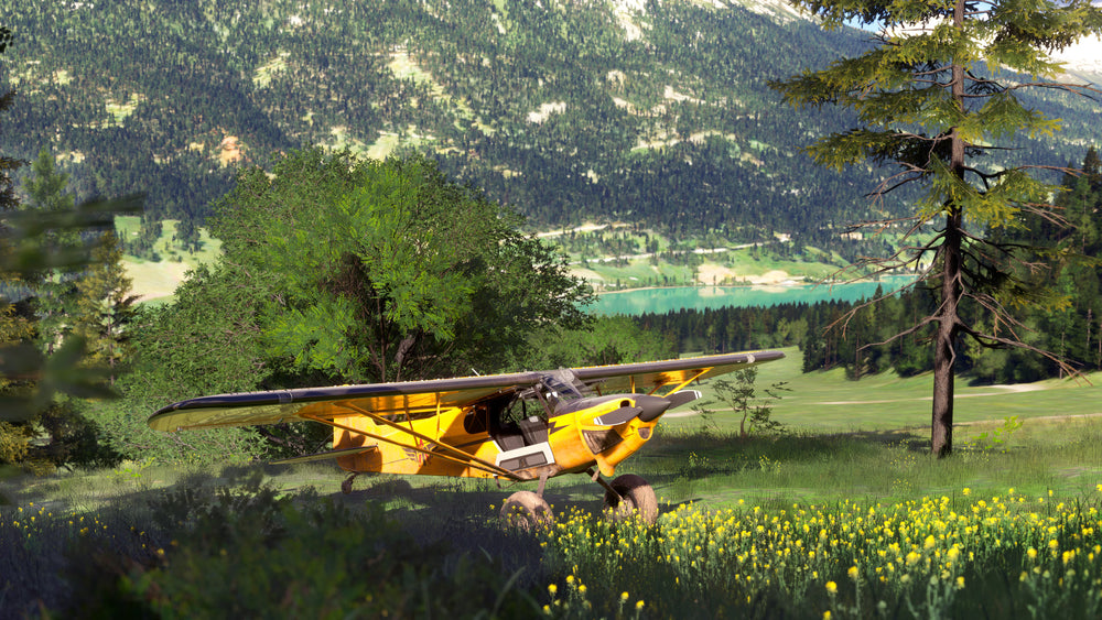 Microsoft Flight Simulator 2024 — visual 3
