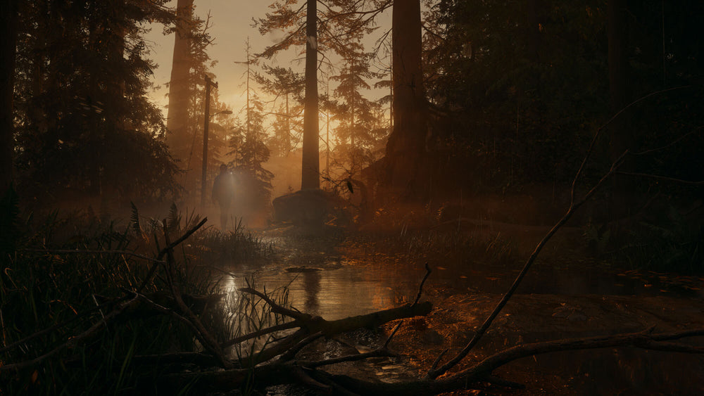 ALAN WAKE II — visual 4