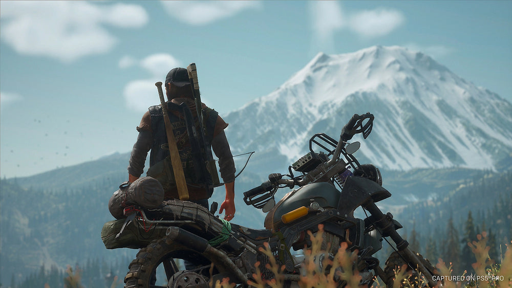Days gone Remasterd — visual 4