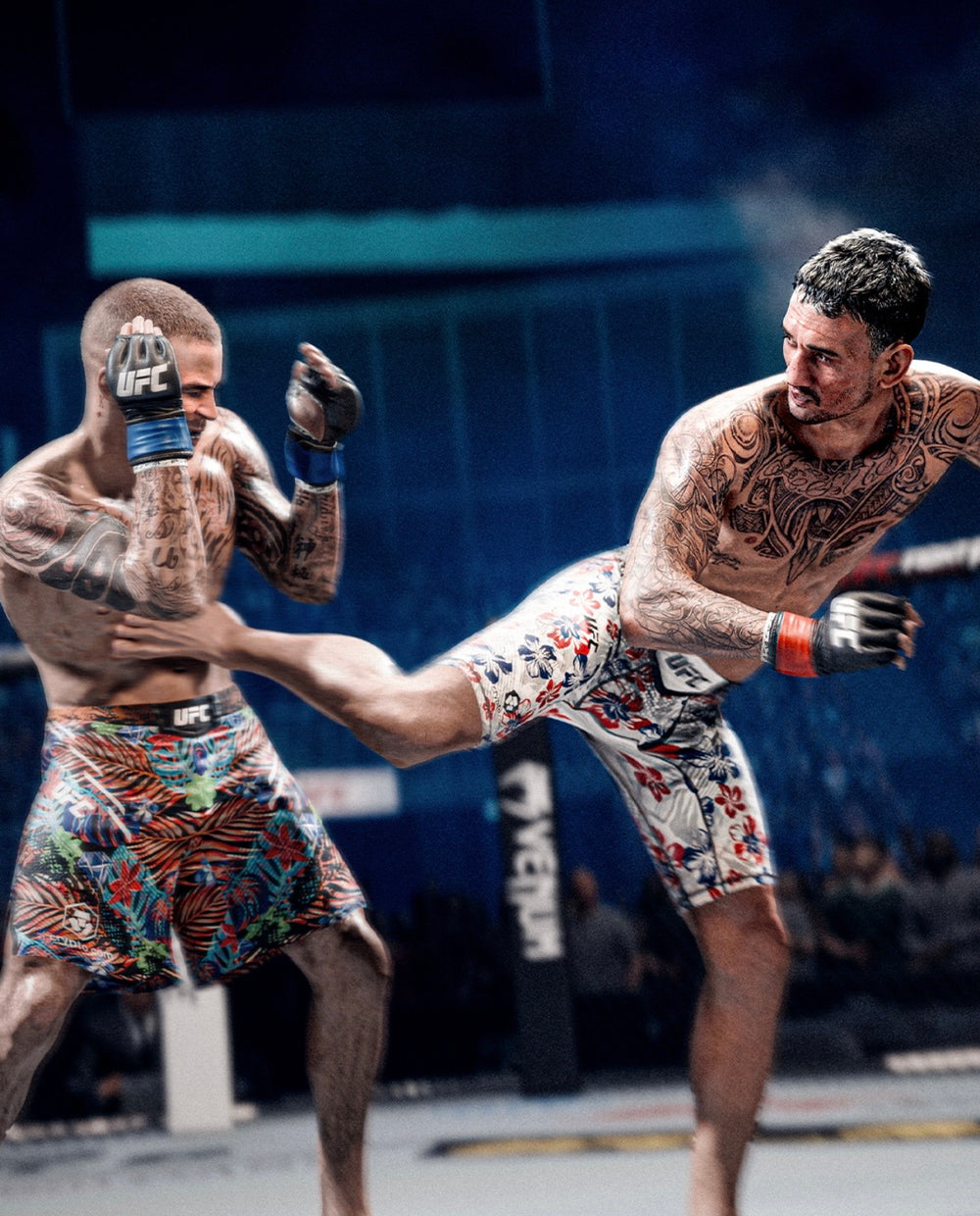 UFC 6 — visual 3