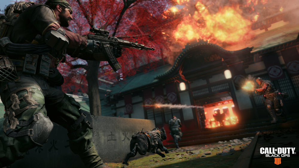 Call of Duty Black Ops 4 — visual 4