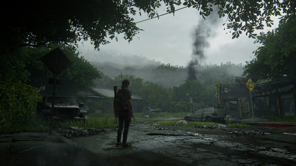 The Last of Us Part II — visual 2