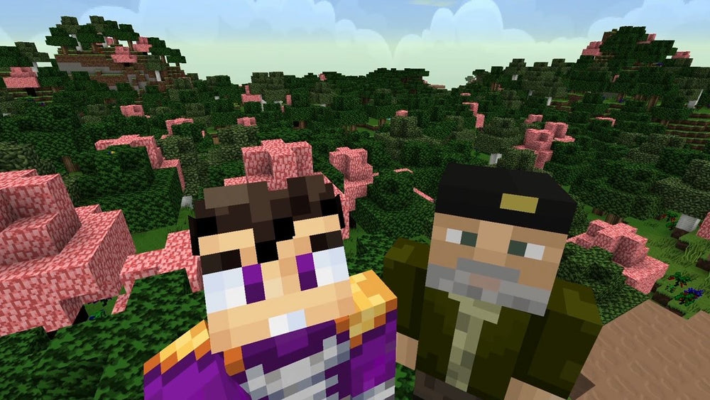 Minecraft — visual 3