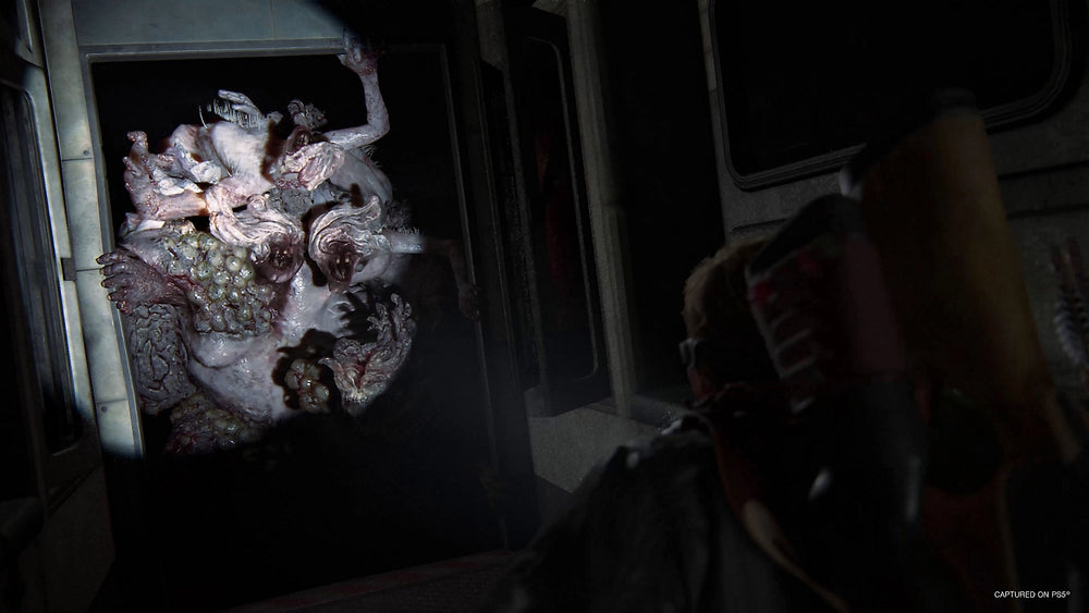 The Last of Us Part II Remastered — visual 2