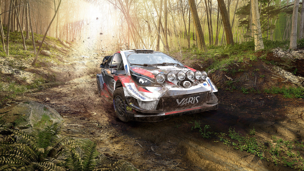 WRC 10 FIA World Rally Championship — visual 1