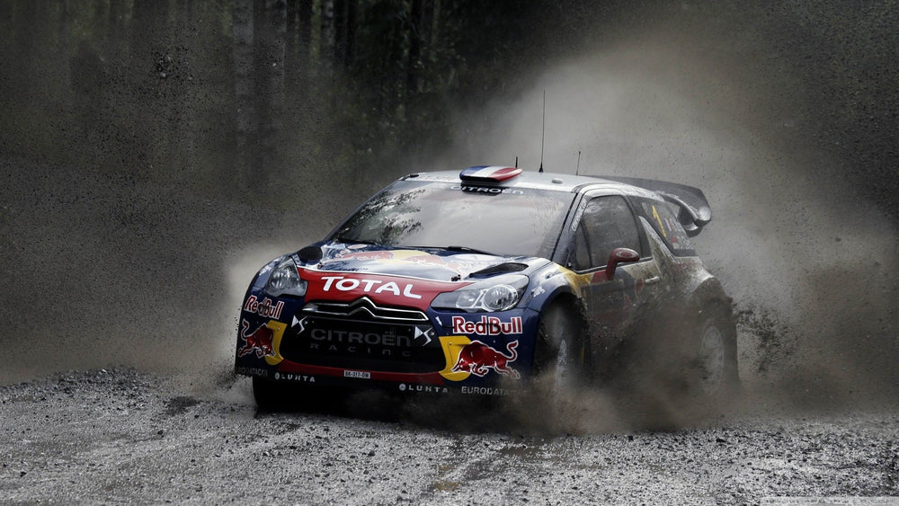 WRC 10 FIA World Rally Championship — visual 2