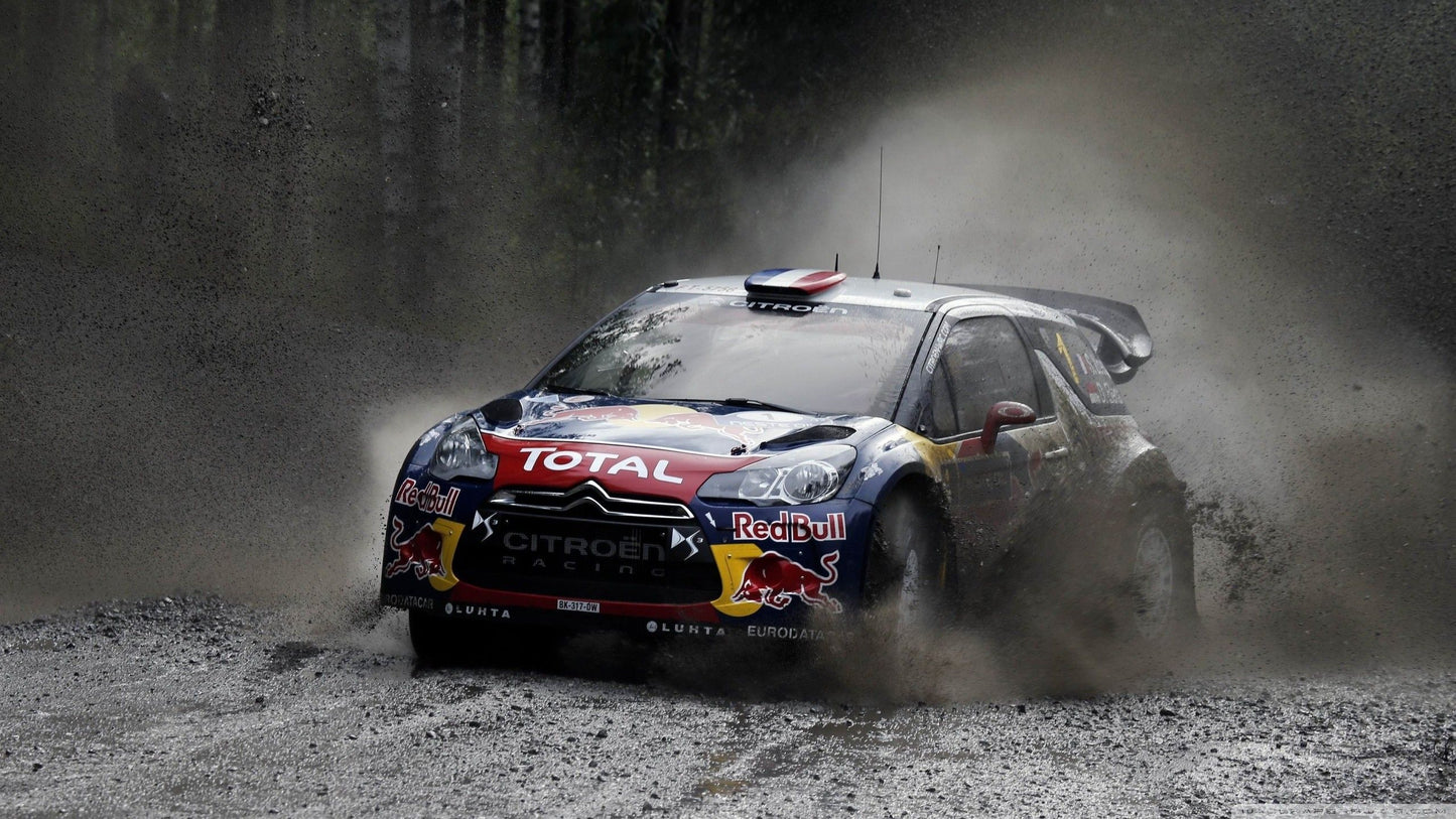 WRC 10 FIA World Rally Championship